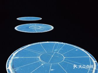 周末看展｜第13届上海双年展水体