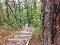 -帽儿山国家森林公园