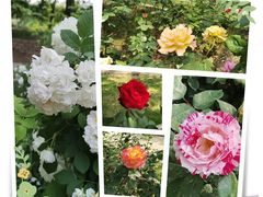 -元大都城垣遗址公园