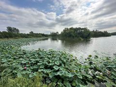 -上海市保健医疗中心