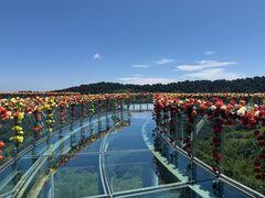 -王莽岭风景区