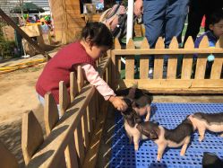 -萌宠亲子动物乐园(槐房万达店)