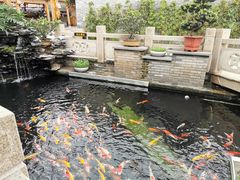 -顺德了能馆(虎门店)