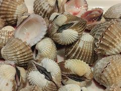 -华盛丰温州大排档(东三环南路店)