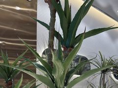 -兰湘子·湘菜小炒(崂山丽达店)