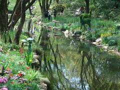 -上海共青森林公园