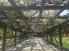 -北京市劳动人民文化宫(太庙)