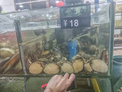 -岛中岛·海鲜大排档·万宁老字号(东澳店)