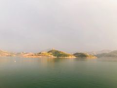 -望湖烤鱼