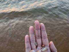 -威海国际海水浴场旅游区