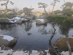 -罗红摄影艺术馆