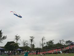 -长洲岛