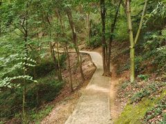 -上海佘山国家森林公园天马山园