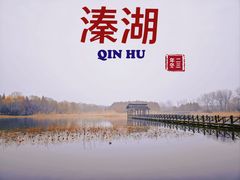 -溱湖国家湿地公园