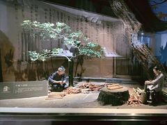 -长沙简牍博物馆