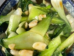 清炒小青菜-阿尔法海鲜排档(爱琴海店)