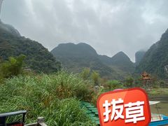 -靖西鹅泉风景区