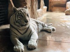 -鄂尔多斯野生动物园