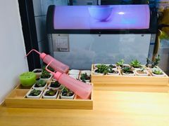 -艾薯夫妇Aysh(福田星河COCOPark店)