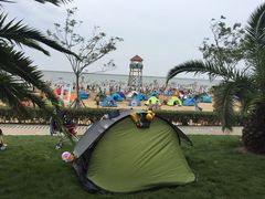 -碧海金沙