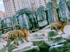 -上海野生动物园