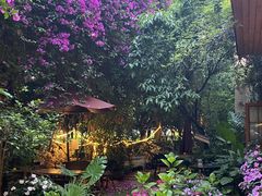 -月亮眼花园餐厅书吧酒吧