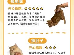 -荔康动物医院(康王北路店)