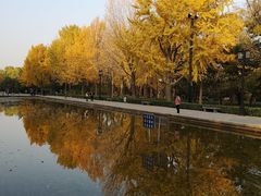 -玲珑塔公园
