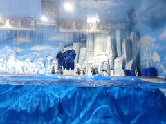 -石家庄市动物园