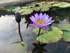 -华南国家植物园-售票处