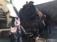 -哈利波特魔法世界