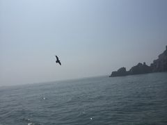 -海驴岛(荣成市)