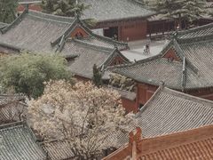 -开封府