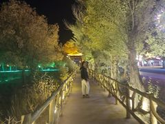 -金塔沙漠胡杨林景区