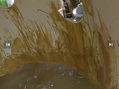 -100蛋泥浆浴