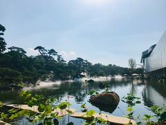 -罗红摄影艺术馆