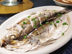 -梁溪河畔·吉府花园(南长街南下塘店)