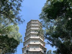 -深圳国际园林花卉博览园