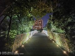 -南翔镇银翔湖公园