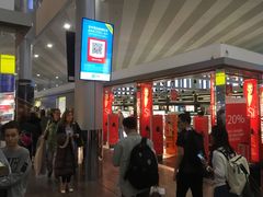 -谢列梅捷沃国际机场