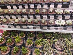 -KKV(重庆东原悦荟主力店)