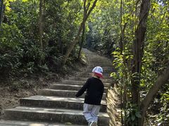 -野狸岛