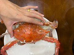 -红灯笼龙凤饭店(宁波老字号店)