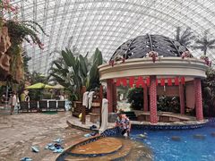 -苏州乐园森林水世界