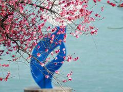 -天鹅湖体育公园