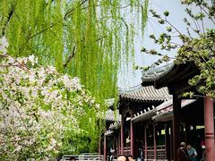 -海棠花溪(元大都城垣遗址公园)