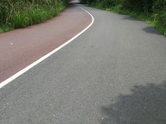 -艾溪湖湿地公园