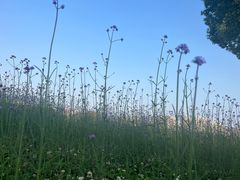 -BOPEYE·波派炸鸡(九霄天地店)