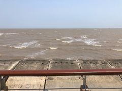 -东疆建设开发纪念公园