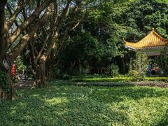 -人民公园(罗湖区)